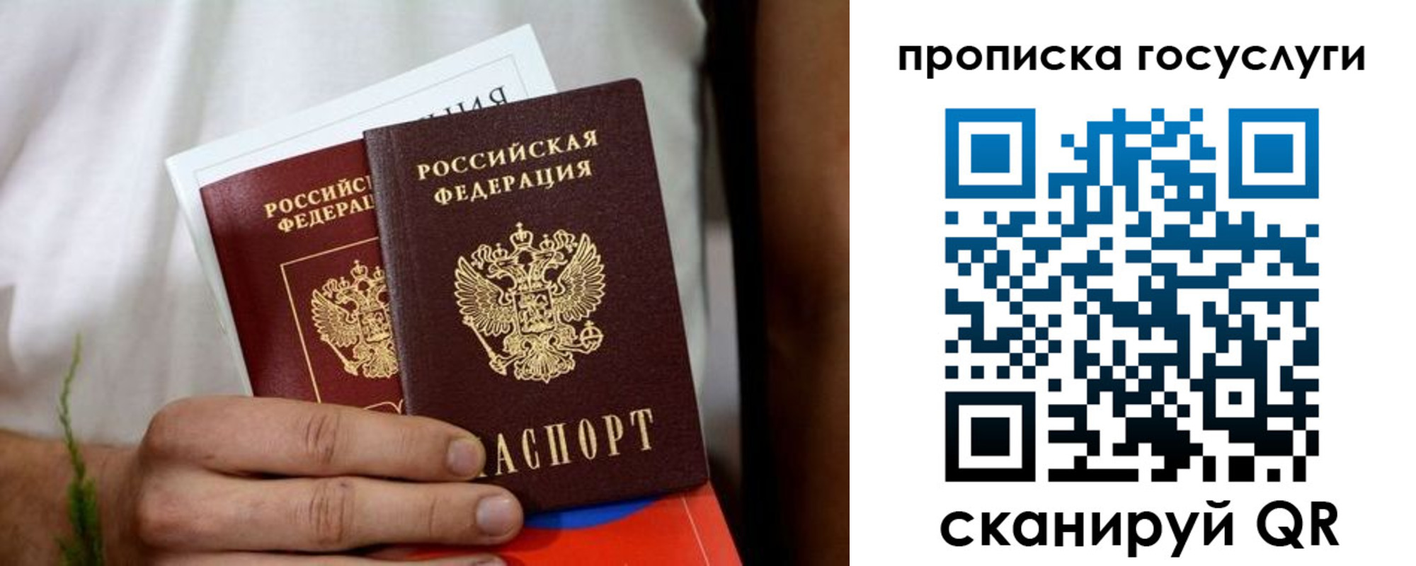 прописка регистрация в Владимирской области